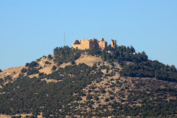 Jerash, Ajloun, Umm Qais Day Trip - The driver makes the private format worthwhile