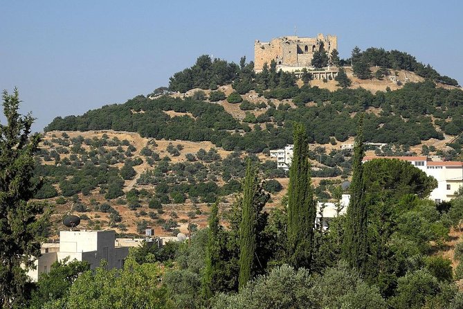 Jerash, Ajloun, Umm Qais Day Trip - Should you book it?