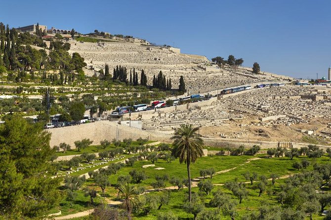 Jerusalem Half-Day Tour from Tel Aviv: Holy Sepulchre and Western Wall - Kidron Valley and the Garden of Gethsemane