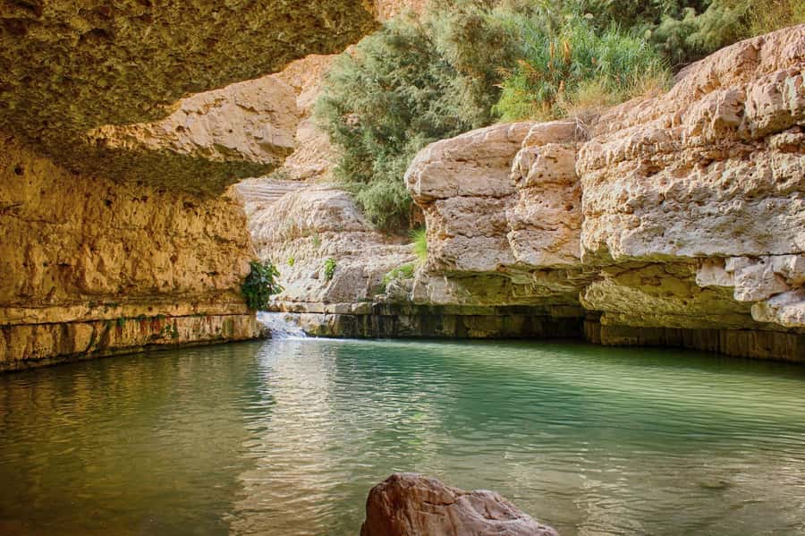 Jerusalem: Masada, Ein Gedi & Dead Sea Tour - Ein Gedi: a spring-fed oasis in dry country