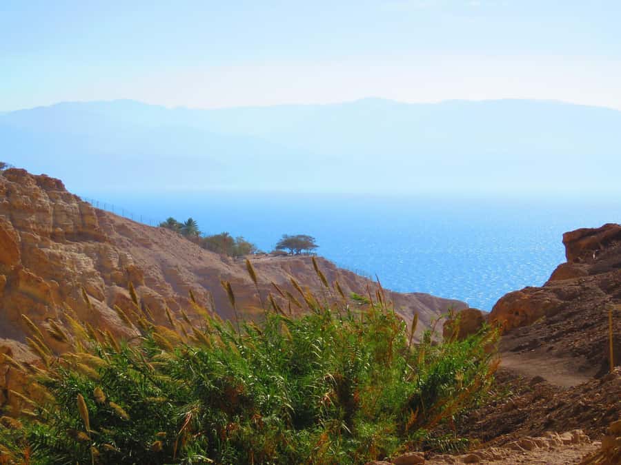 Jerusalem: Masada, Ein Gedi & Dead Sea Tour - My verdict