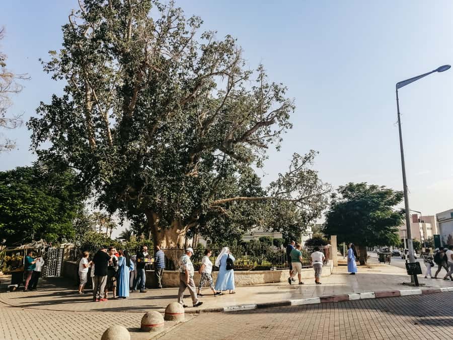 Jerusalem/Tel Aviv: Bethlehem, Jericho and Jordan River Tour - Through the Judean Desert to Jericho