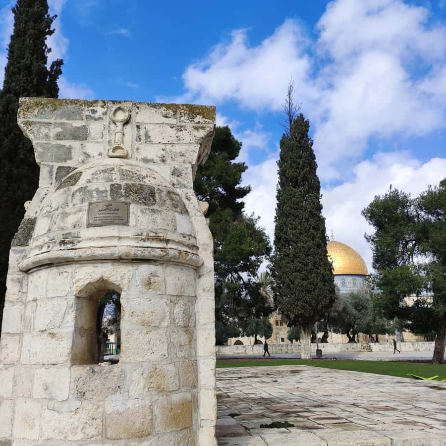 Jerusalem: Tour with Private Guide - Optional detours and local food stops