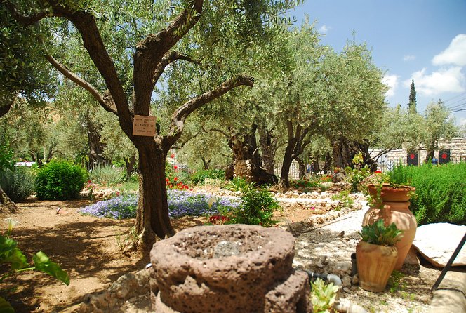 Jerusalem Walking Tour: In the Footsteps of Jesus - The $89 price and what it covers