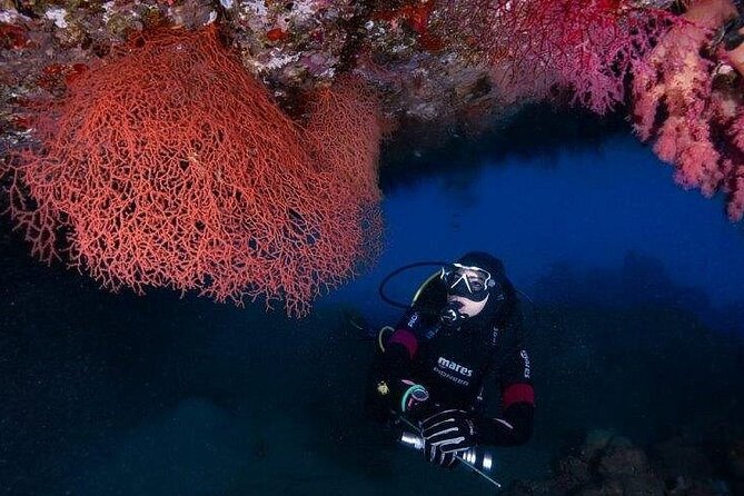 Journey of Diving or Snorkelling from a Boat - Scuba for first-timers, snorkeling for everyone else