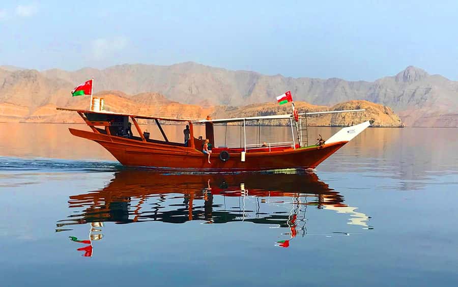 Khasab: Dolphin Watching Day Tour with Snorkeling & Lunch - Why the dolphins make this Khasab trip special