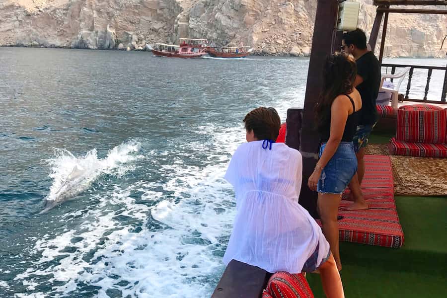 Khasab: Dolphin Watching Day Tour with Snorkeling & Lunch - Who should book this dhow cruise?