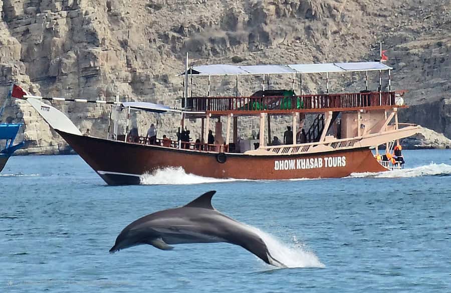 Khasab: Half-Day Dhow Cruise, Dolphin Watching, & Snorkeling - Cruising through Musandam’s dramatic inlets