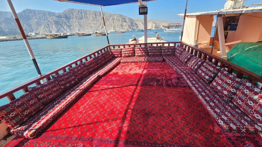 Khasab: Half-Day Dhow Cruise, Dolphin Watching, & Snorkeling - Swimming and snorkeling in the fjords