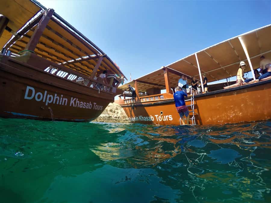 Khasab: Half-Day Dhow Cruise with Dolphin Watching - Starting from Khasab Airport or the cruise terminal