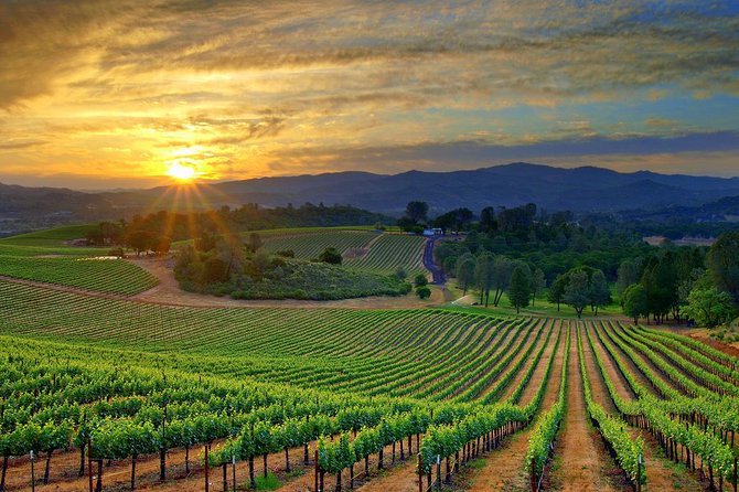 Lebanon Wine Tasting Tour From Beirut - Zahle gives the day a needed pause