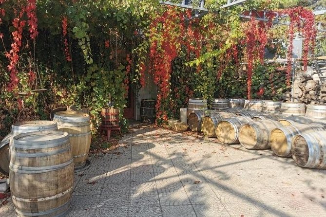 Lebanon Wine Tasting Tour From Beirut - Chateau Rayak brings the day to a family winery
