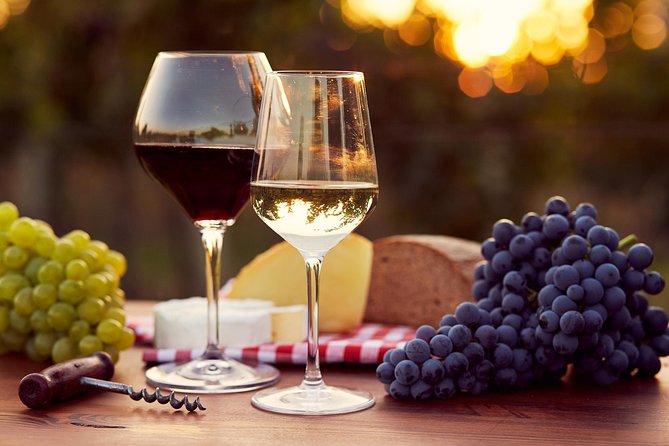 Lebanon Wine Tasting Tour From Beirut - Is $91.03 a fair price?