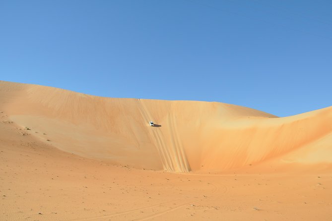 Liwa Full Day Desert Safari (exploring) - The camel farm provides a closer look at desert life