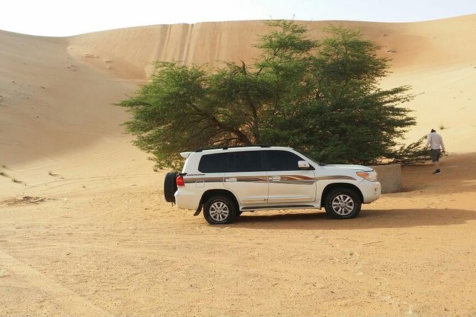 Liwa Full Day Desert Safari from Abu Dhabi - Key points to know before you book