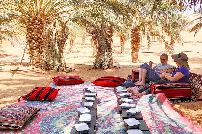 Liwa Oasis Desert Drive from Abu Dhabi - Why Liwa is worth the long drive from Abu Dhabi