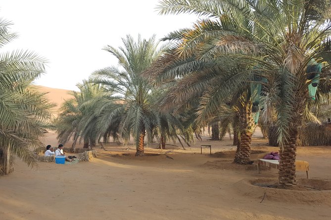 Liwa Oasis Desert Drive from Abu Dhabi - Lunch under the palms at Liwa Oasis