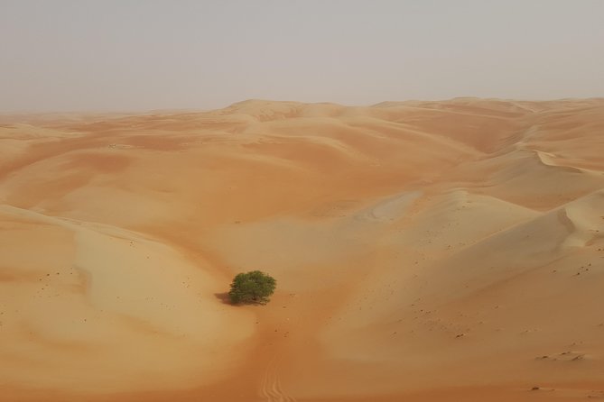 Liwa Oasis Desert Drive from Abu Dhabi - A private group of four changes the experience