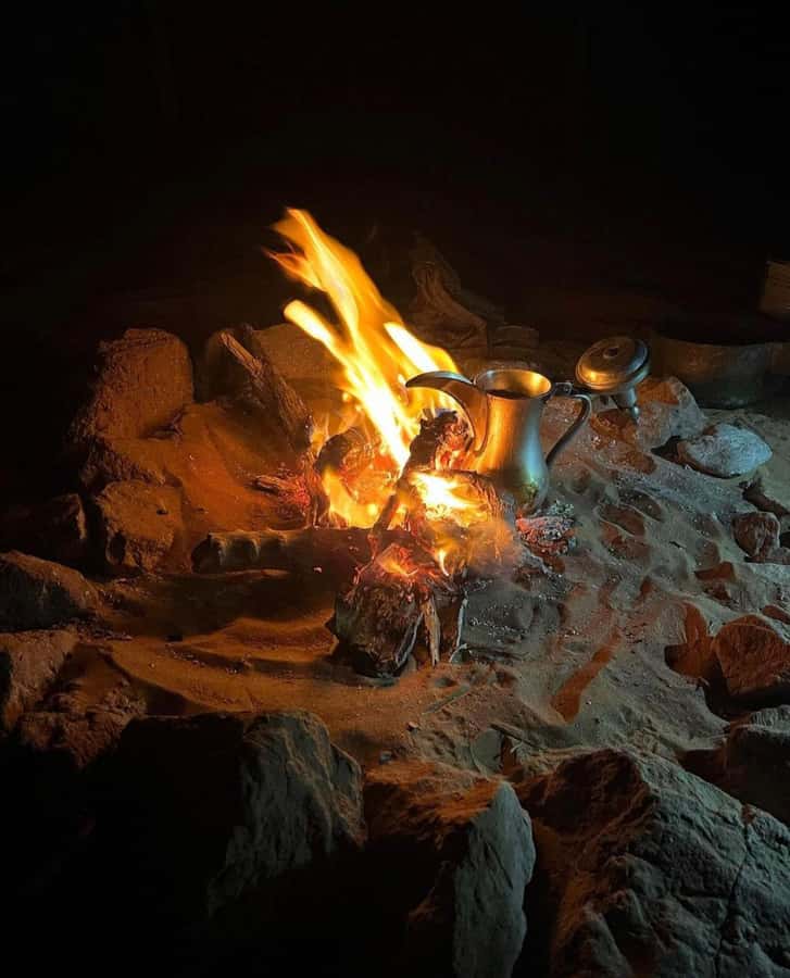 Luxury Overnight Desert Safari in Salalah - From Salalah to Wadi Dawkah’s frankincense trees