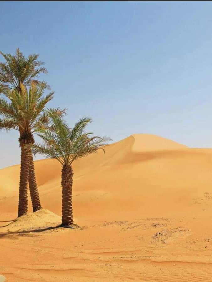 Luxury Overnight Desert Safari in Salalah - A rustic camp with private family tents