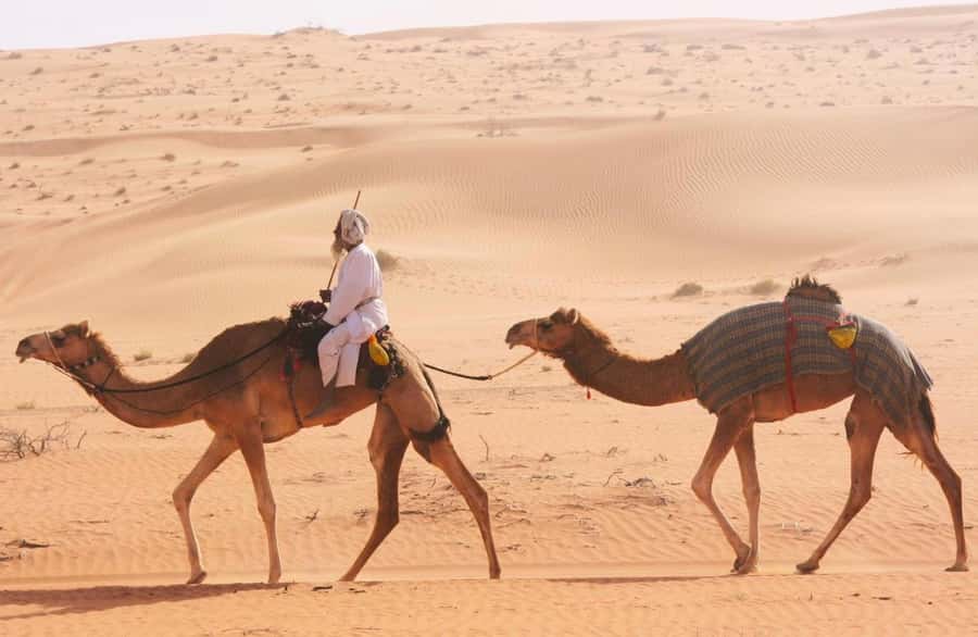 Luxury Overnight Desert Safari in Salalah - Dinner, camel meat, bonfire, and stargazing