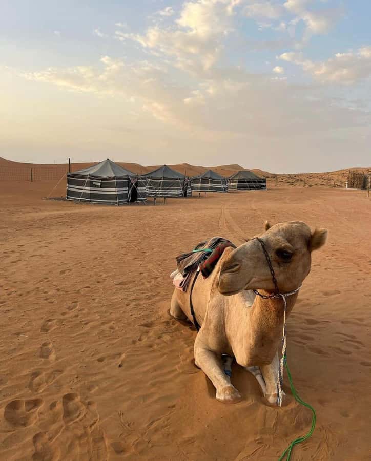 Luxury Overnight Desert Safari in Salalah - Ubar, the legendary city on the desert route