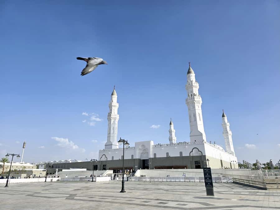 Madinah Culture & History Tour – Led by Local Guide - Uhud Mountain and the Mount of Archers