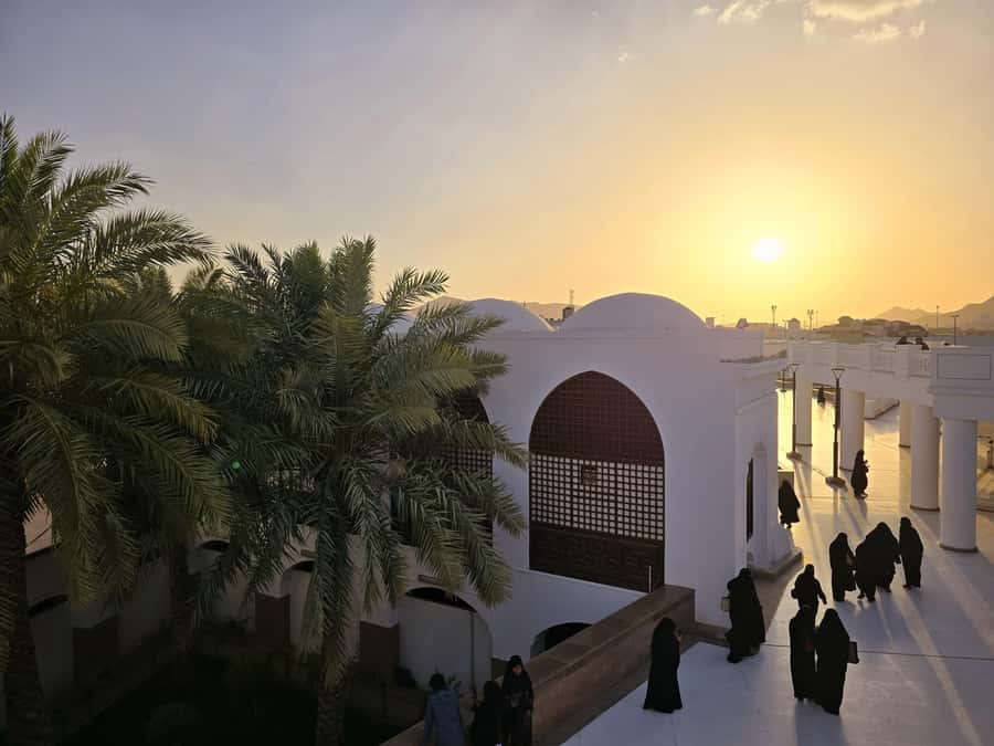 Madinah Culture & History Tour – Led by Local Guide - Walking through Wadi Al-Aqiq