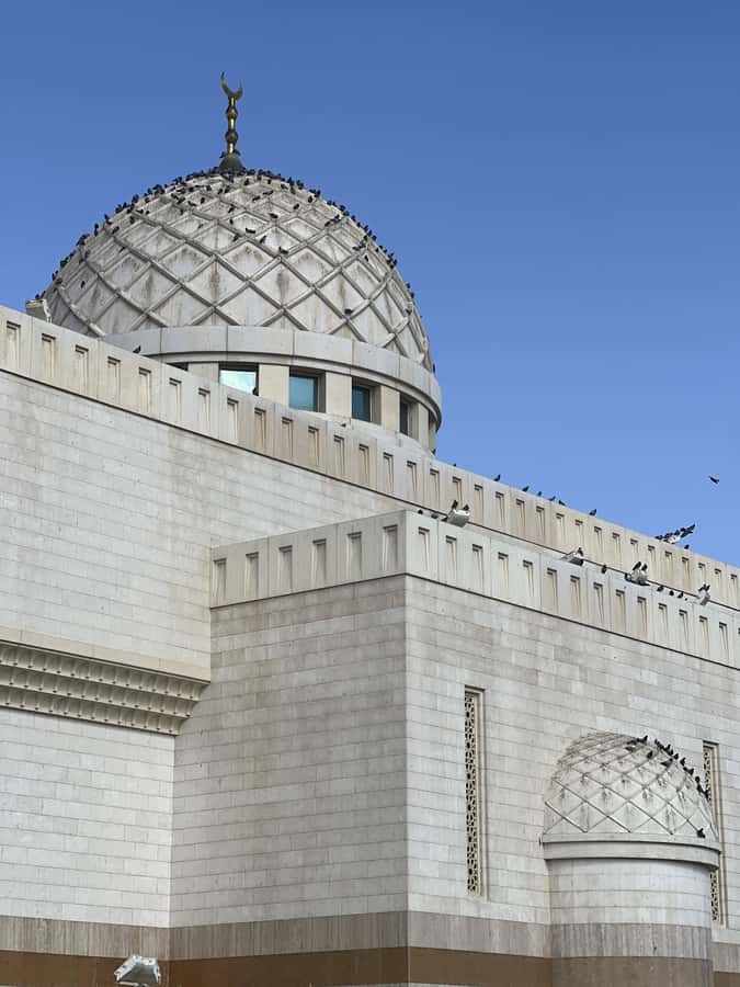 Madinah Culture & History Tour – Led by Local Guide - Tea, dates, and local life at the farm