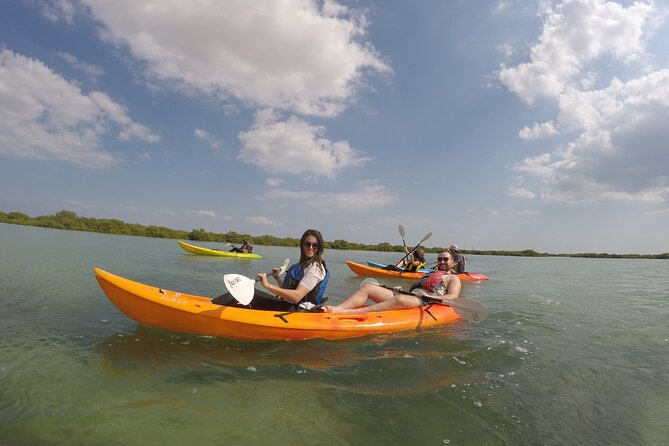 Mangrove Kayaking Purple Island Adventure - What the four-hour outing usually involves