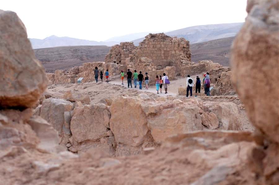 Masada Dead Sea: Small Group Tour from Tlv INCL. ENTRY FEES - Floating in the Dead Sea
