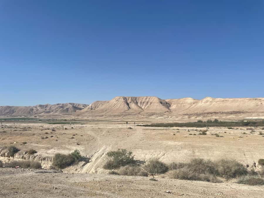 Masada Dead Sea: Small Group Tour from Tlv INCL. ENTRY FEES - Weather, closures, and changes to the plan