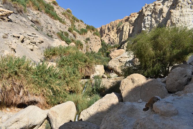 Masada, Ein Gedi, and The Dead Sea from Tel Aviv - What to pack for the desert