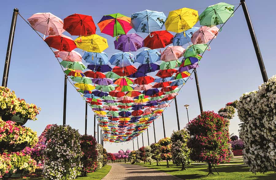 Miracle Flora & Fauna Marvels at Miracle Garden - Key points to know before booking