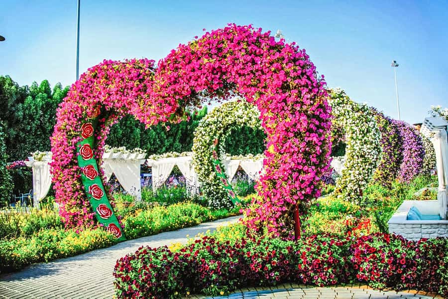 Miracle Flora & Fauna Marvels at Miracle Garden - Why these two gardens make a good Dubai break