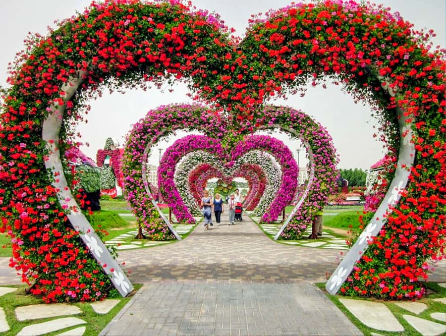 Miracle Flora & Fauna Marvels at Miracle Garden - What kind of experience is this?