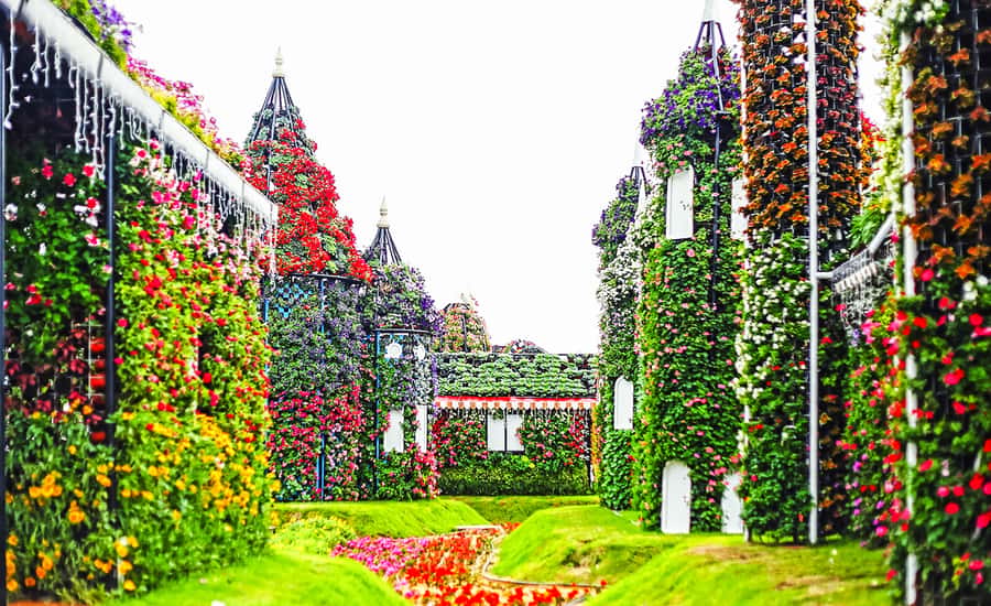 Miracle Flora & Fauna Marvels at Miracle Garden - Is $114 per person fair?