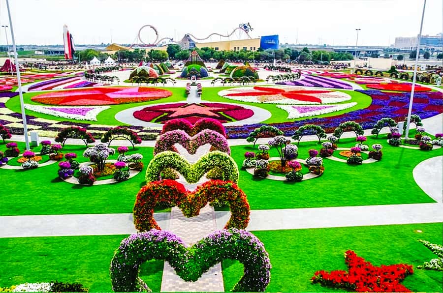 Miracle Flora & Fauna Marvels at Miracle Garden - Starting with the butterflies in Al Barsha