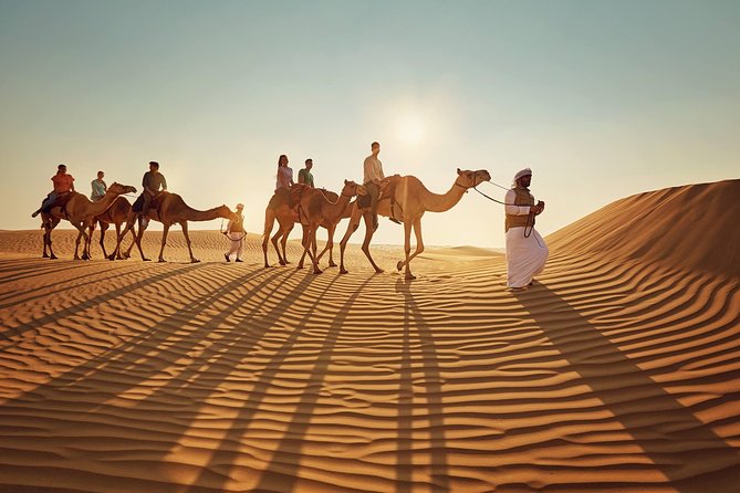 Morning Desert Safari with Quad Bike Tour Abu Dhabi - What the $101.60 price gets you