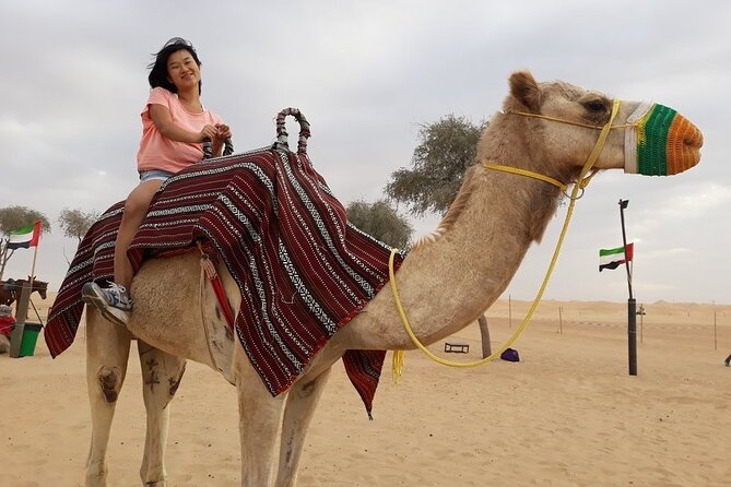 Morning Dubai desert safari - camel rides, quad bikes, dune buggies,dune bashing - The main event: dune bashing in a 4x4