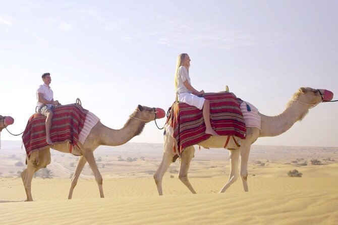 Morning Red Dunes Desert by Quad Bike, Dune Bashing, Camel Ride & Sandboarding - Sandboarding adds a simple, scenic challenge