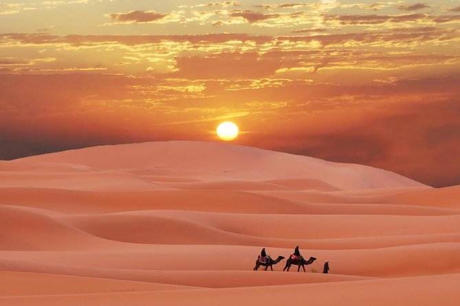 Morning Red Dunes Safari: Camel Ride & Sandboarding Adventure - Photos, drinks, and the small practical touches
