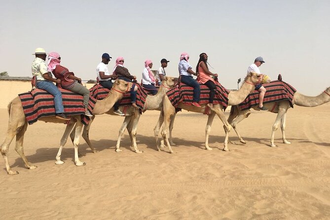 Morning Red Dunes with Camel Ride, Sandboarding and Refreshments - The main event: 30 to 45 minutes of dune bashing