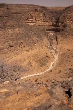 Mountain Safari Private Tour - Key points at a glance