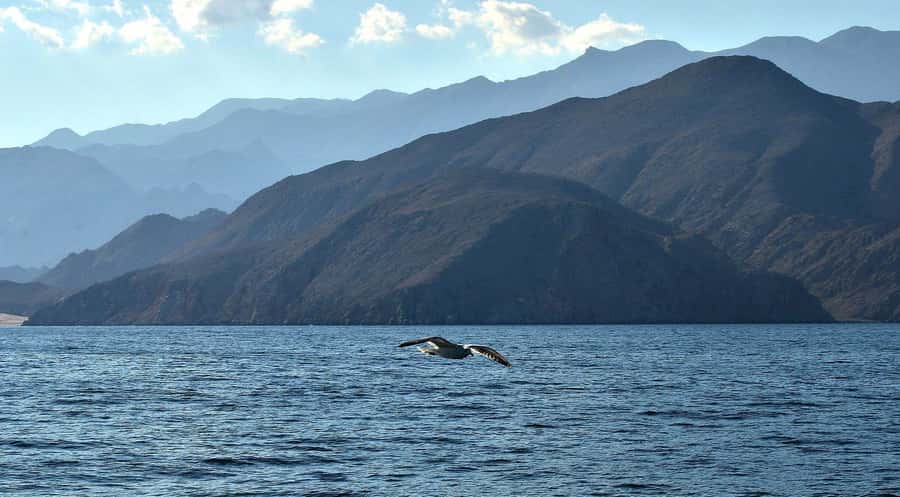 Musandam Khasab Full-Day Cruise with Transfers & Lunch - A second swimming stop after lunch