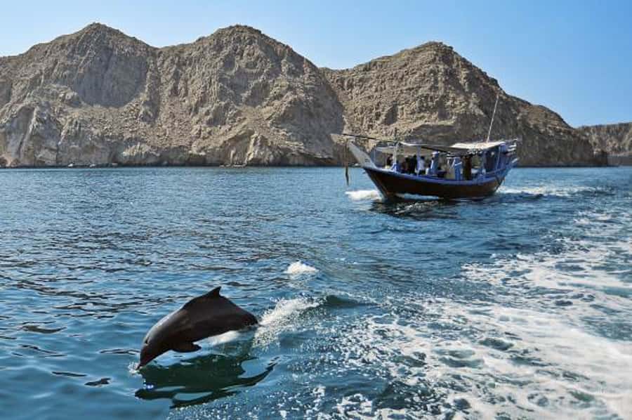 Musandam Khasab Full-Day Cruise with Transfers & Lunch - The 6:30 pickup and border crossing
