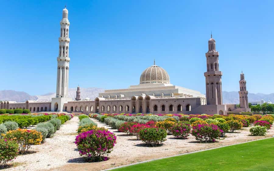 Muscat : 4 hours private Tour of Muscat City with Pick-up - Why this four-hour route works in Muscat