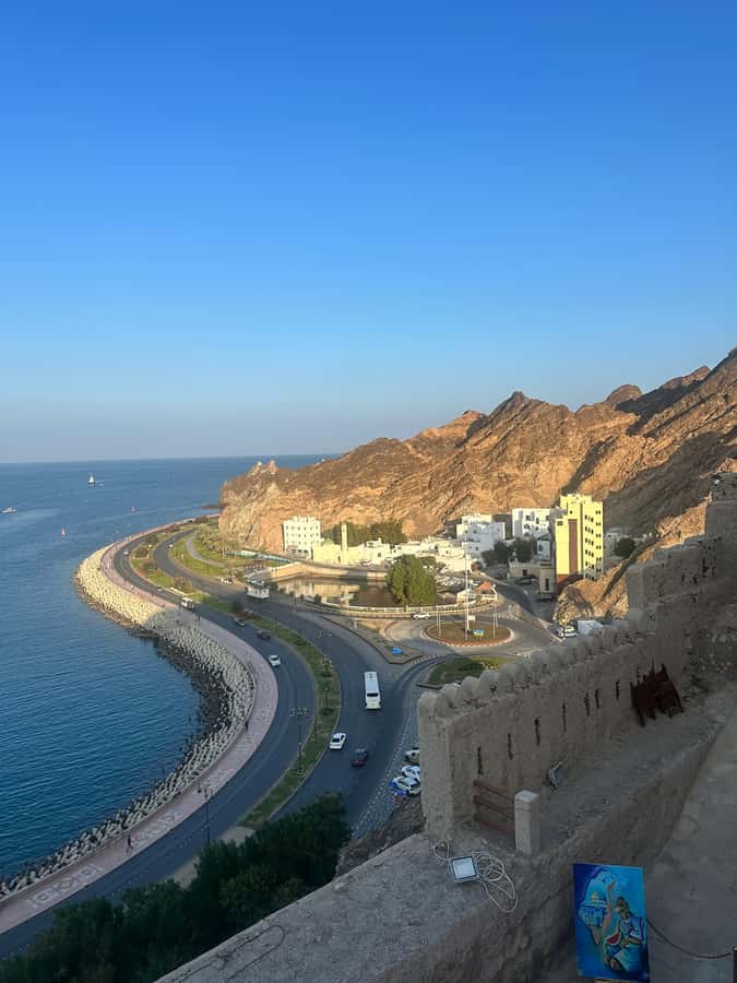 Muscat : 4 hours private Tour of Muscat City with Pick-up - Entering the Sultan Qaboos Grand Mosque