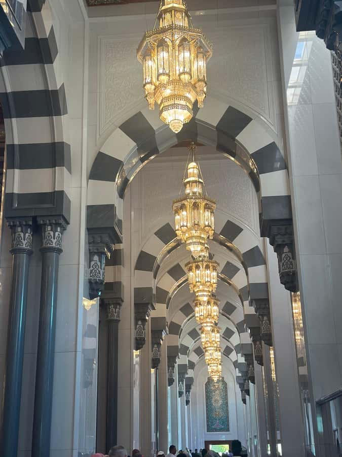 Muscat : 4 hours private Tour of Muscat City with Pick-up - What the guides add to the experience