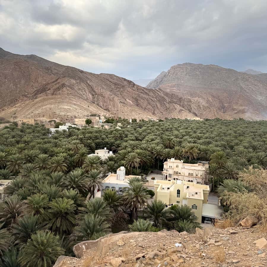 Muscat: 4x4 Adventure Through Jebel Akhdar and Nizwa - Mountain villages and terraced farming
